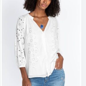 Johnny Was Chise Button Down Blouse Eyelet V Neck Size Medium Women’s